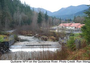 QuilceneUSFWSFishHatchery7 11 2010