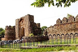Rawat Fort - Main Gate East