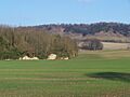 Remains of Boxley Abbey and North Downs - geograph.org.uk - 1101929