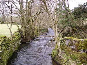 River Winster near Barkbooth - geograph.org.uk - 151322