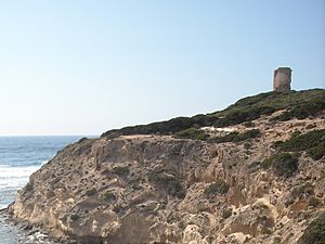 The tower of Cape Mannu