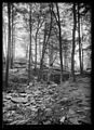 Seton Falls, Bronx, New York City, 1913