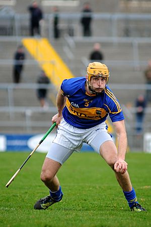 Shane McGrath (hurler).jpg