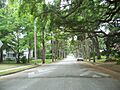 St Aug Nelmar Terrace street01