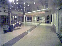 Tanglewood Mall dead wing