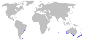 Tarakihi Distribution Map.png
