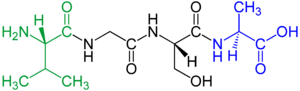 Tetrapeptide structural formulae v.1