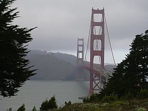 The Golden Gate Bridge Fog