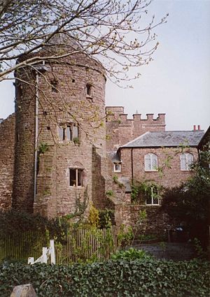 Tiverton Castle - The south-east tower - geograph.org.uk - 61579
