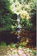 Waterfall, Upper Tilling Valley. - geograph.org.uk - 136653