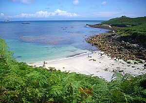 Watermill Cove - geograph.org.uk - 932188