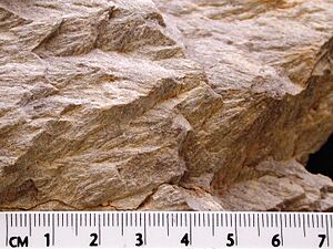 Wells creek shatter cones 2