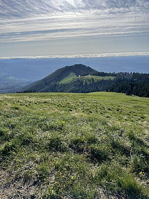 West Side Meadow