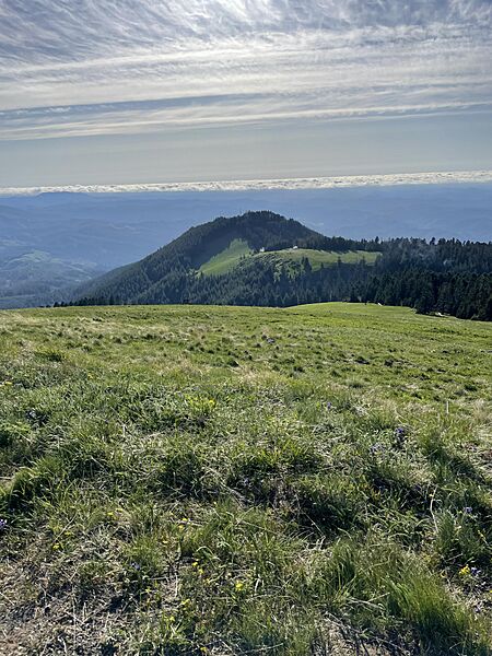 West Side Meadow