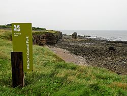 Picture of the view from Whitburn Coastal Park.