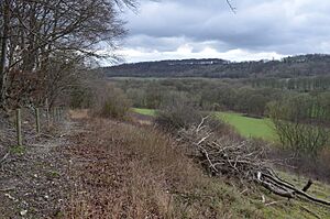 Wormsley Chalk Banks 8