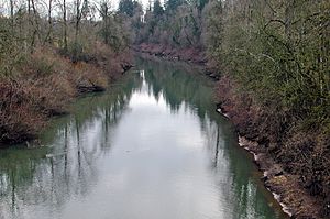 Yamhill river at Dayton.jpg