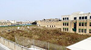 Zejtun Roman Villa (12682983103)