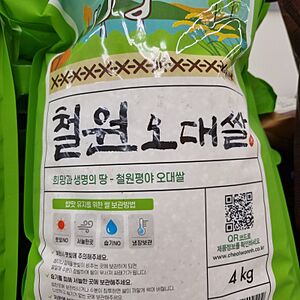 철원오대쌀