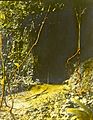-Remains of Long Juju Gorge, Arochuku-, late 19th century (imp-cswc-GB-237-CSWC47-LS2-041)