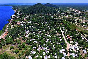 Aerial view of the city