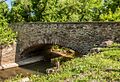 Aldie LR-Bridge 7803