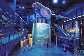 Aquarium entrance
