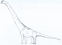 Austrosaurus LM.png