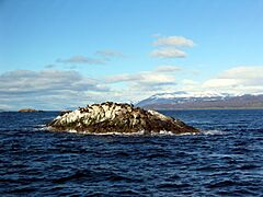 Beagle Channel - La Isla de Los Lobos