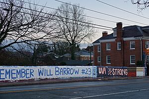 Beta Bridge