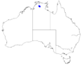 Boronia verecunda DistMap126