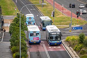 Buses at Rousehill T-way (20231004)