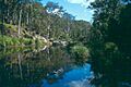 CarnarvonGorge