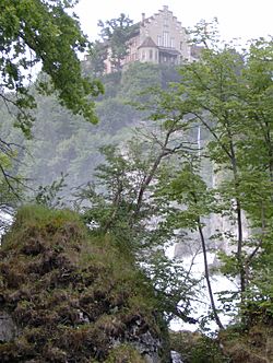 Castle Laufen at the Rhine Falls