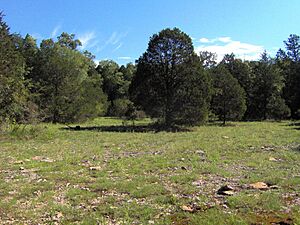 Cedar-glade-col-tn5