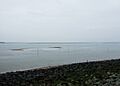 Colne Estuary - geograph.org.uk - 1181971