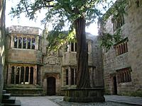 A courtyard in a medieval building with a large yew tree growing in the centre.