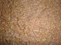 Cooked oatmeal closeup