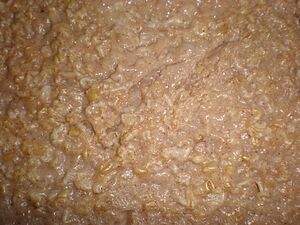 Cooked oatmeal closeup