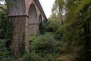 Crawfordsburn viaduct - geograph.org.uk - 259245