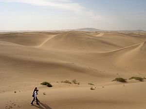 Desert - Inner Mongolia edit