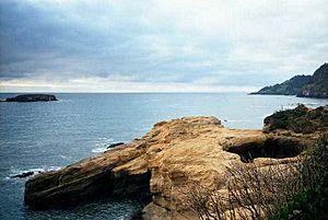 Devil's Punch Bowl SNA - Oregon