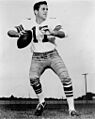 Don meredith cowboys