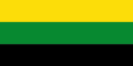 Flag of Remedios (Antioquia)