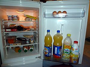 Food into a refrigerator - 20111002