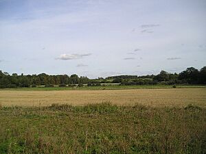 Fordham Abbey - geograph.org.uk - 62891
