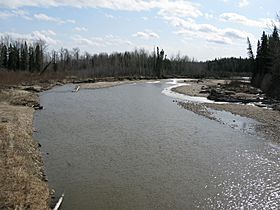 Freeman River.JPG