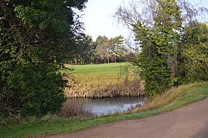 Frilford Heath, Ponds and Fens 15.jpg