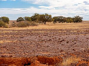 Gibber Country, Diamantina National Park, Queensland, Australia