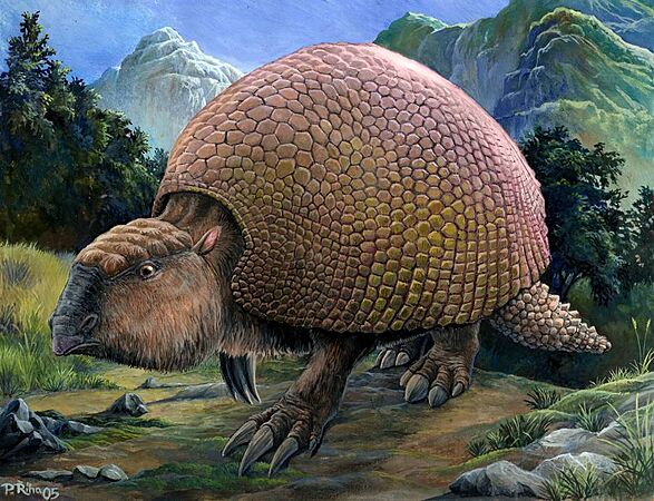 Glyptodon (Riha2000)